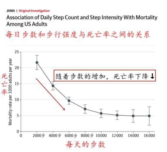 同樣是走路，有人走出長(cháng)壽，有人走廢膝蓋！每天怎樣走最好(hǎo)？