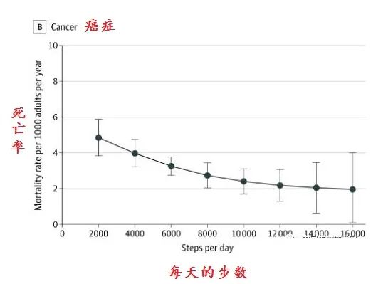 同樣是走路，有人走出長(cháng)壽，有人走廢膝蓋！每天怎樣走最好(hǎo)？